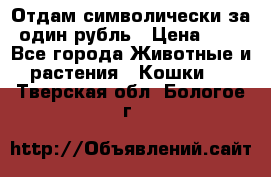 Отдам символически за один рубль › Цена ­ 1 - Все города Животные и растения » Кошки   . Тверская обл.,Бологое г.